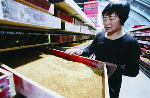 黄粉虫成为了当地村民口中的“致富虫”